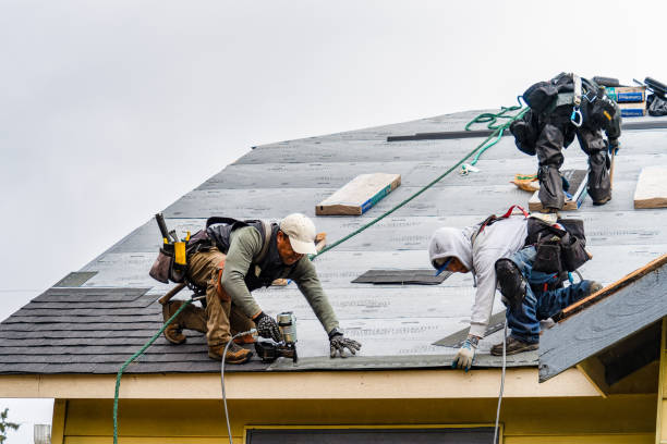 Professional Gutter Installation technician working in Hooppole, IL