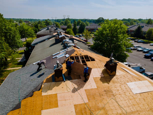 Trusted Roof Replacement service in Hooppole, IL - Brentwood Metal Roofing